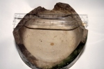 Stoneware jar base, from rubble mound; 7th April 2013