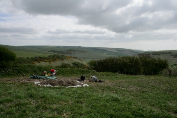 View SE over dig site