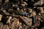 .303 cartridge from under corrugated iron sheet; 16th June 2013.