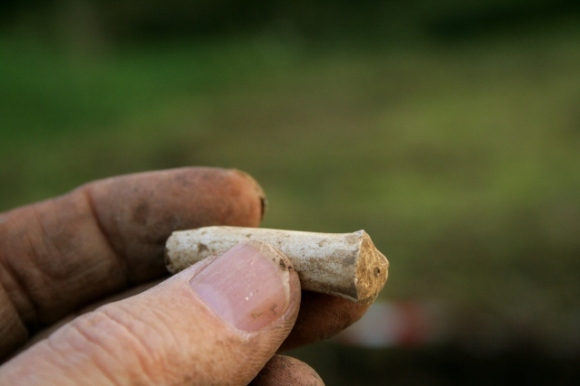 Fragment of 19thc clay pipe stem