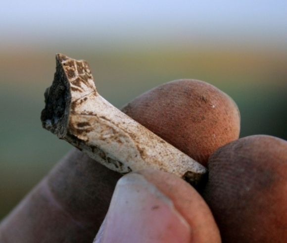 Decorated clay pipe stem fragment